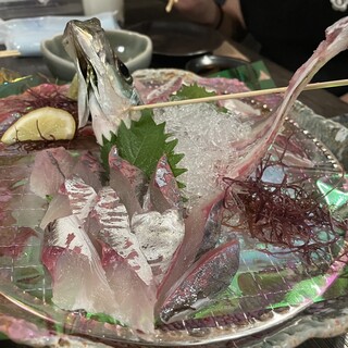 あらかぶ_0