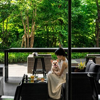 テラス席では愛犬と一緒のお食事をお楽しみいただけます。