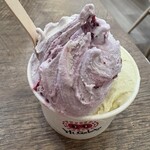 Hi,Gelato - 