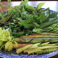 春限定！山菜料理堪能コース　（18000～2000円）