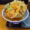 ウエストうどん - かき揚げ丼
