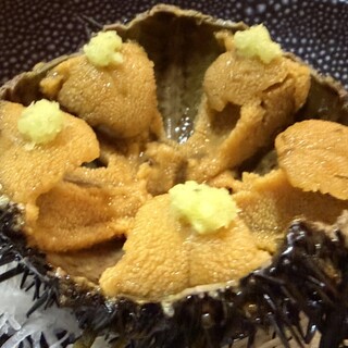 鮨四季の味 しおん_0