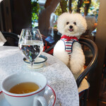 LE BISTRO - お散歩もできたわネッ！