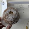Dolceria mimosa primavera - 料理写真: