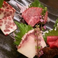 新どおぞの - 質のレベルが違いますね～