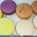 ムッシュー・ジー - 