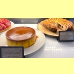 TOKYO FARM VILLAGE FARM BASEL - ショーケース⑨ 5/2026