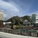 錦梅堂 - 動くよ！子ども達が集まって、怖い〜(><)と泣いていたww 福井県では、勝山市の恐竜発掘現場から、数多くのスピノサウルス科の歯化石が発見されています。これはスコミムス・テネレンシスかな？