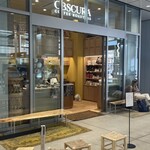 OBSCURA COFFEE ROASTERS - 