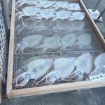魚安商店 - イカ