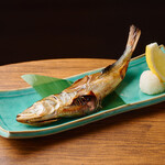 銚子の大羽鰯丸干し