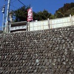 上を見上げると。。。