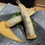 鮨ト酒肴 富かわ - 