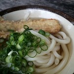 讃岐うどん がもう - 麺輝く～