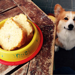 DOG DEPT + CAFE - 