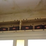 クアドロフェニア - 店内の雰囲気