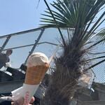 プレンティーズ ドライブイン - 料理写真:シングルコーンアイス