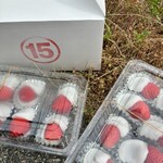 15 - 