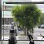 OGAWA COFFEE LABORATORY - その他写真: