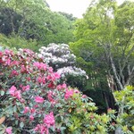 小田急 山のホテル - 
