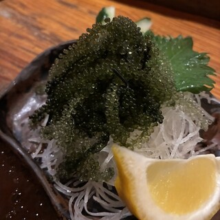 まーちぬ家_0