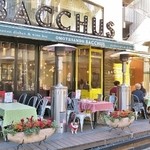 BACCHUS - 