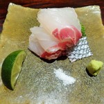 豪龍久保 - (2015.3) 淡路の桜鯛