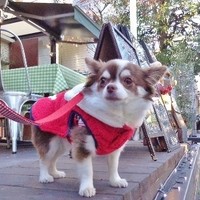 表参道 バッカス - 