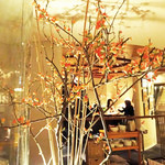 やさい家めい - 春の訪れ〜お洒落な造り〜♬