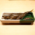 富小路 やま岸 - 