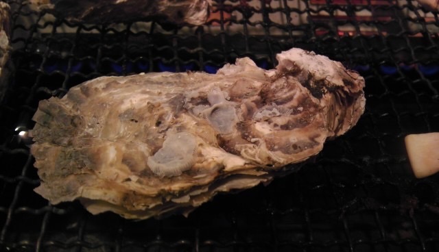 Oofunaisogoya 大船 北鐮倉 日式小酒館 食べログ 繁體中文
