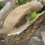 横丁 いかだ荘 - 