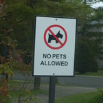 ブリティッシュヒルズ - 