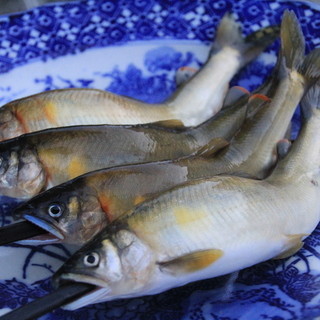 飛騨の季節天然食材を堪能できる隠れた名店！夏は天然鮎が美味い