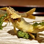 膳司 水光庵 - 