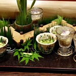 膳司 水光庵 - 