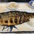 食事と酒処 真 - 料理写真: