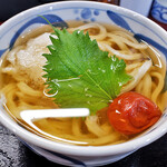 手打ち ごえもんうどん - 梅おろしうどん