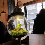 ワド オモテナシ カフェ - 