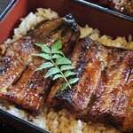 うなぎ水門 - 