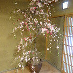 緒方 - 2015.3弥生の緒方さん～♬