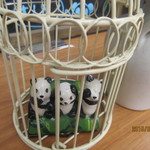 中華ダイニングバル ぱんだ - 見ないパン・聞かないパン・言わないパン