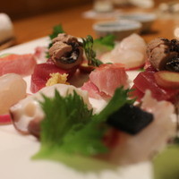 日本料理 きた山 新横浜店 - 刺身盛り合わせ