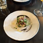 LOVAT - 