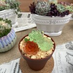 THE GARDEN ISLE - 