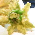 はてなのちゃわん - 蕗の薹　サクサク☆♪