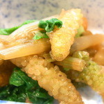 はてなのちゃわん - ツクシと菜の花梅かつお和え☆♪