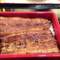満寿家 - 特上うな重