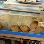 海女小屋　ちさと - 