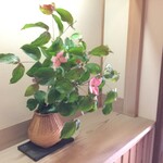 まとの - 